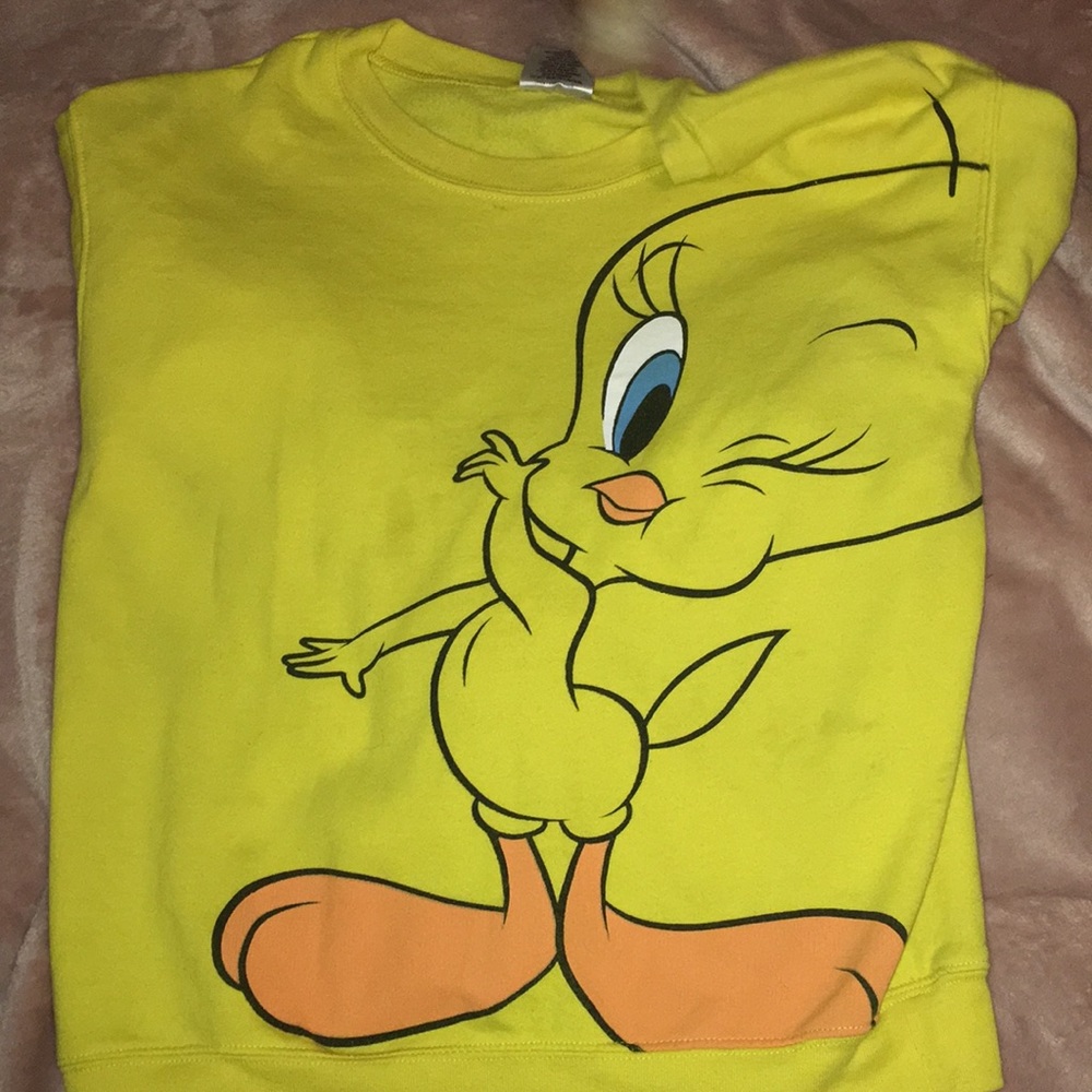 Super cute and soft tweetybird sweatshirt ! $12